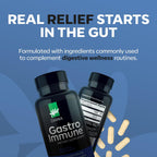 Daiwa GastroImmune - 60 Cápsulas - Salud Digestiva e Inmunidad