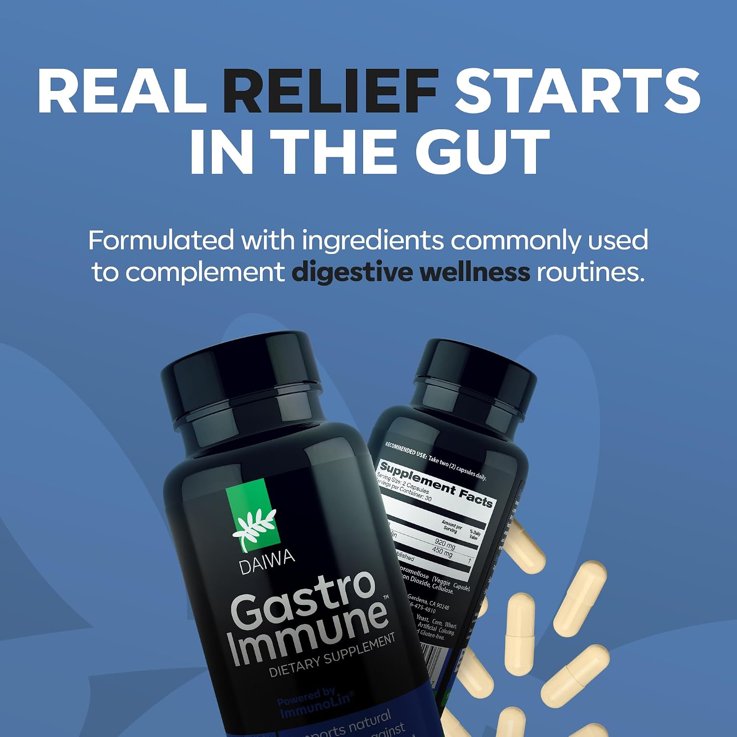 Daiwa GastroImmune - 60 Cápsulas - Salud Digestiva e Inmunidad
