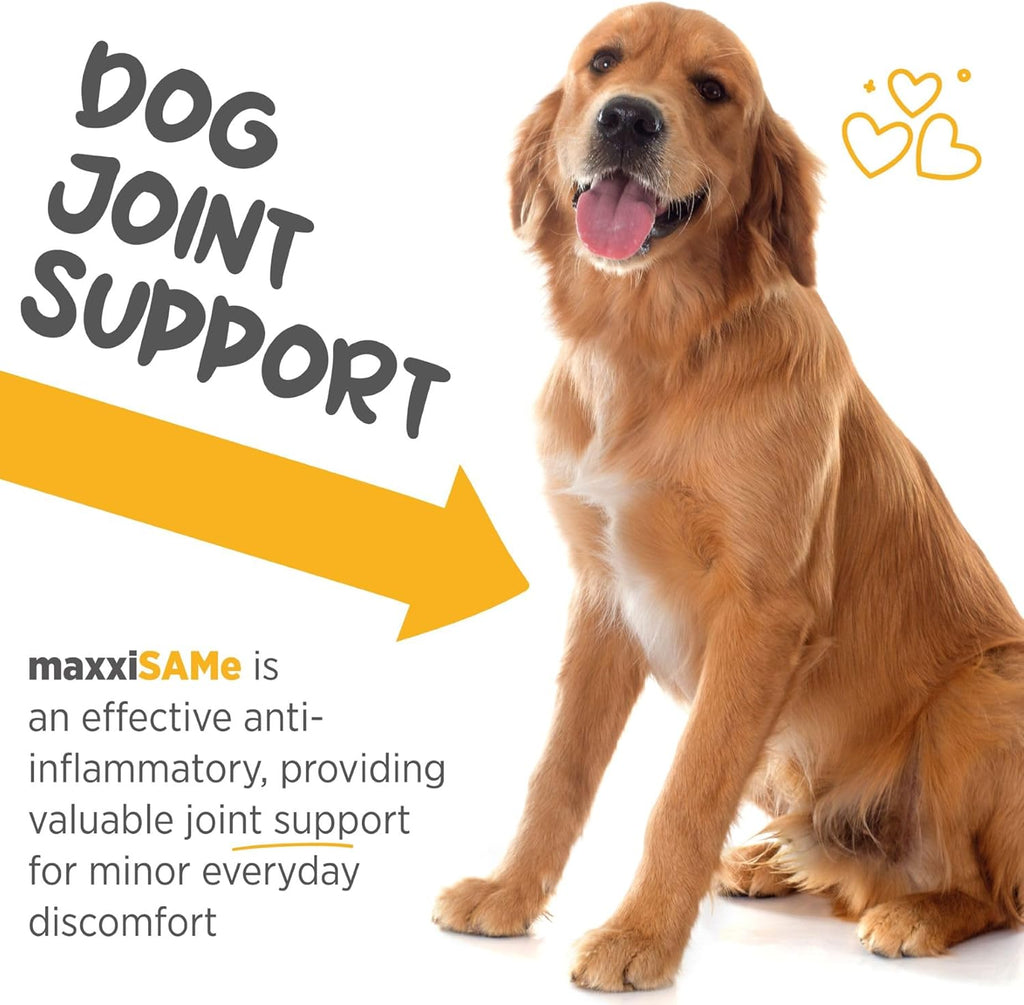 maxxiSAMe Suplemento Avanzado de SAM-e en Polvo para Perros - Apoyo Hepático, Cognitivo y Articular, 150g