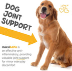 maxxiSAMe Suplemento Avanzado de SAM-e en Polvo para Perros - Apoyo Hepático, Cognitivo y Articular, 150g