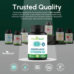 ForestLeaf Vitamina B2 (Riboflavina) 400 mg - 180 Cápsulas Vegetales - Apoyo Energético y Salud de la Piel