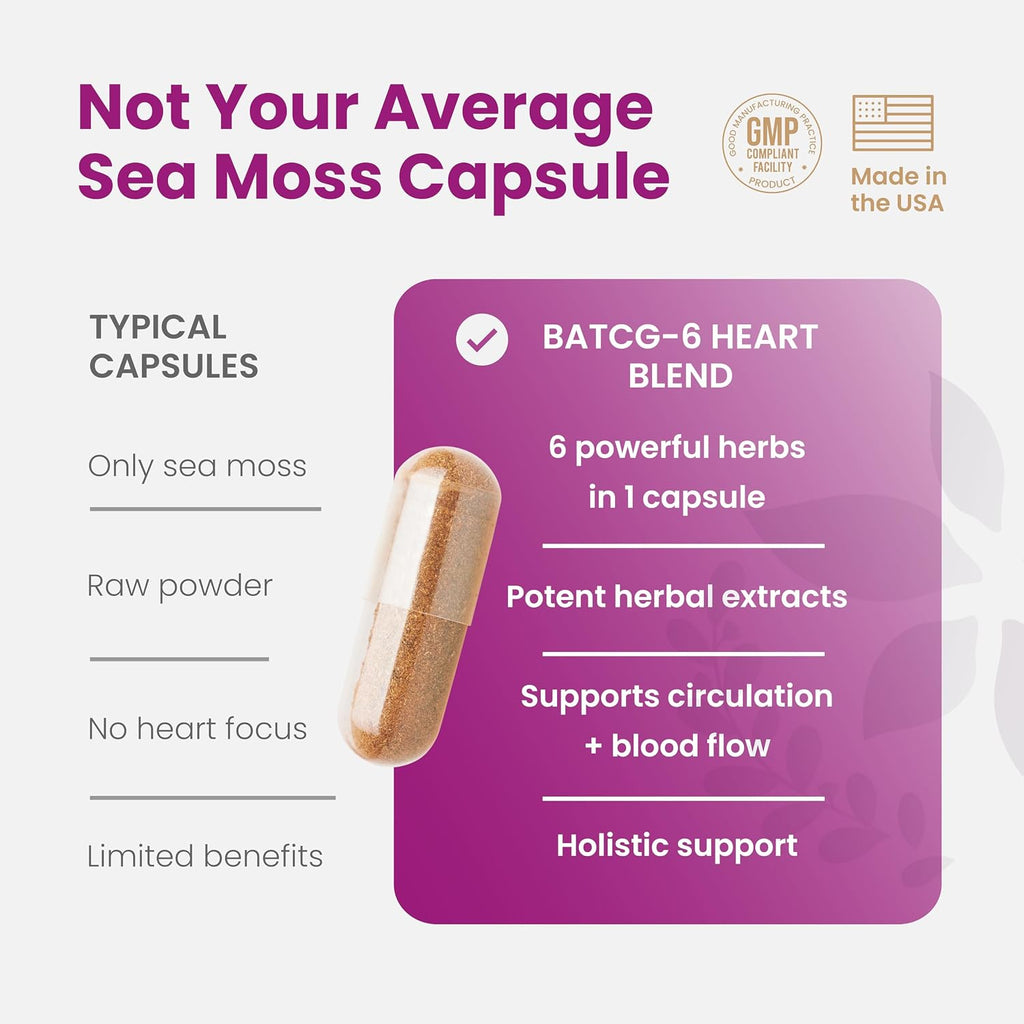 Healthy Herbs Cápsulas de Musgo Marino Silvestre 1950mg – Complejo Avanzado con Remolacha, Cúrcuma, Jengibre, Canela y Ashwagandha (90 Cápsulas)