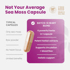 Healthy Herbs Cápsulas de Musgo Marino Silvestre 1950mg – Complejo Avanzado con Remolacha, Cúrcuma, Jengibre, Canela y Ashwagandha (90 Cápsulas)
