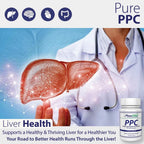 Nutrasal PhosChol PPC Polyenyl PhosphatidylCholine - 300 Cápsulas de Gelatina Blanda - 2,7 g por ración