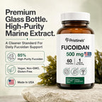 PRISTINE'S Fucoidan 500mg Cápsulas - 60 Días - Extracto de Alga Parda