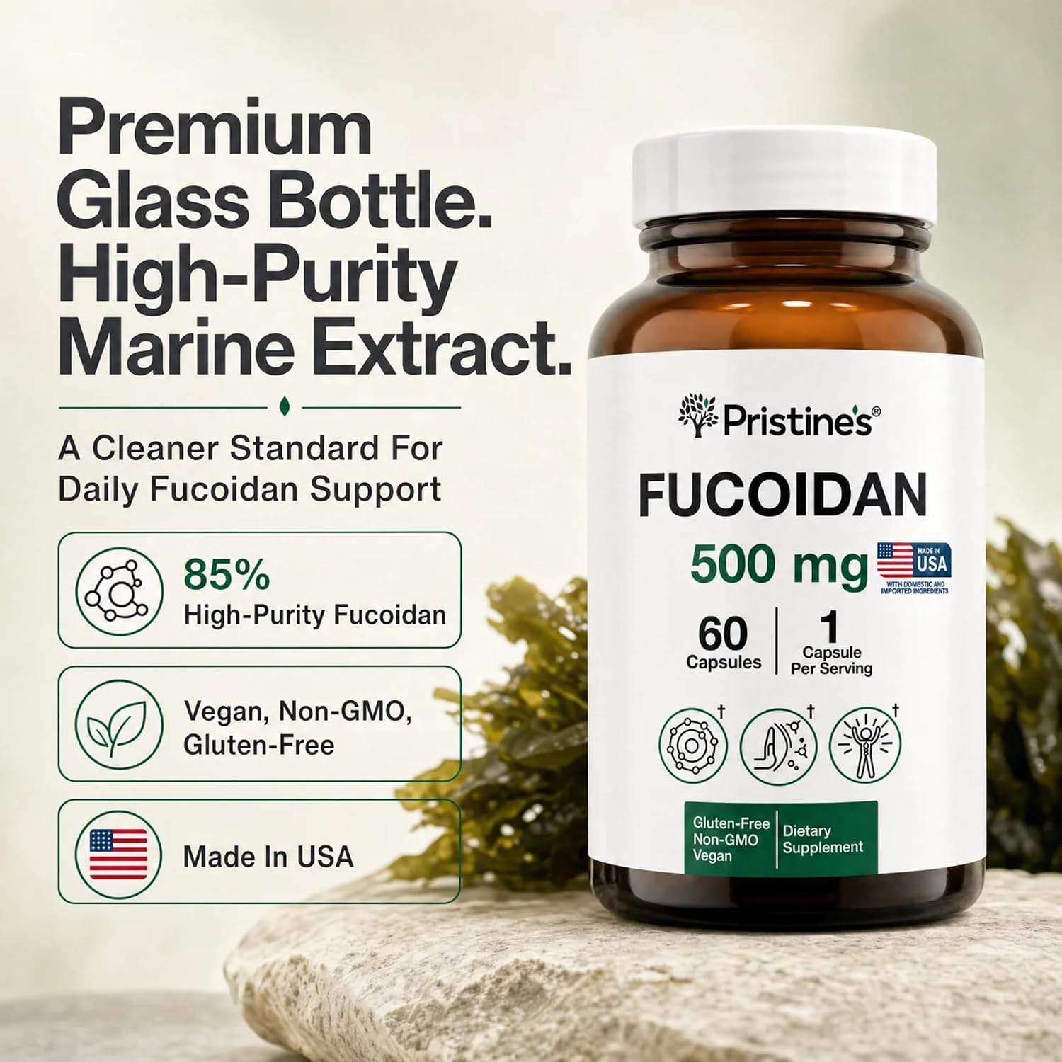 PRISTINE'S Fucoidan 500mg Cápsulas - 60 Días - Extracto de Alga Parda