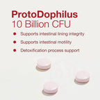 PROTOCOL FOR LIFE BALANCE Protodophilus Masticable - 10 Billion CFU Probiotic - Digestive Health - Vegan & Halal - 60 Tablets