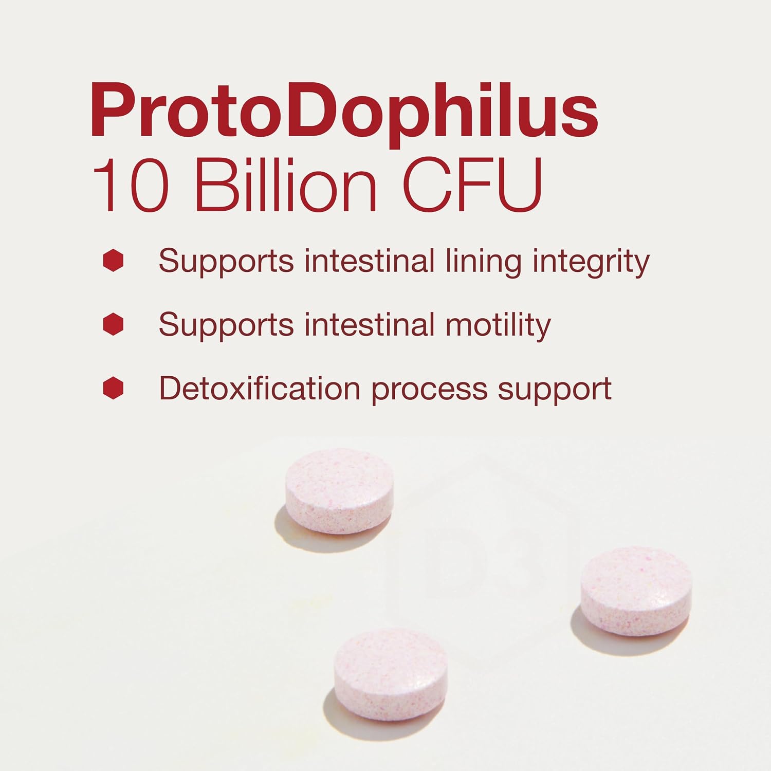 PROTOCOL FOR LIFE BALANCE Protodophilus Masticable - 10 Billion CFU Probiotic - Digestive Health - Vegan & Halal - 60 Tablets