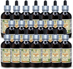 Extracto de Huang Bo (Phellodendron Chinense) Glicerita sin Alcohol - 5x60 ml