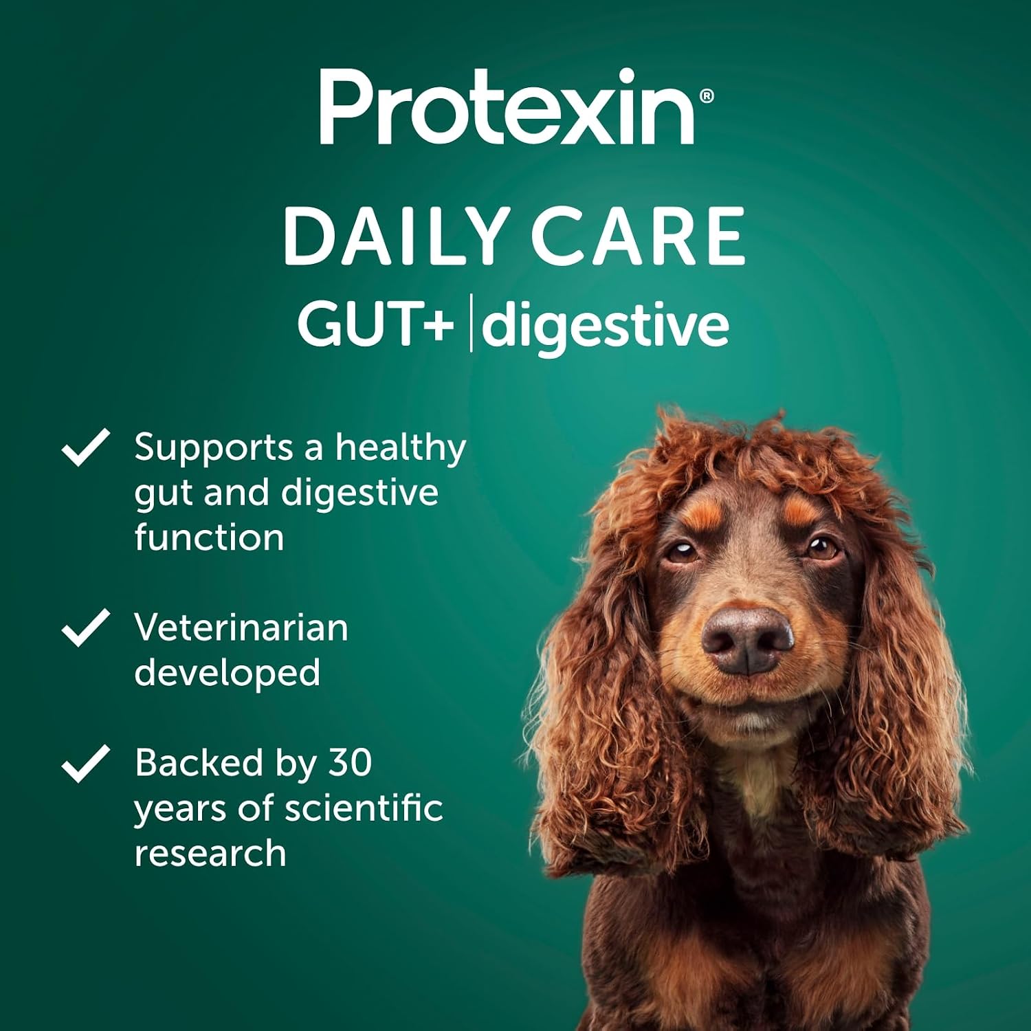 Protexin Daily Care Gut+ Digestive - 60 Masticables sabor pollo y algarroba