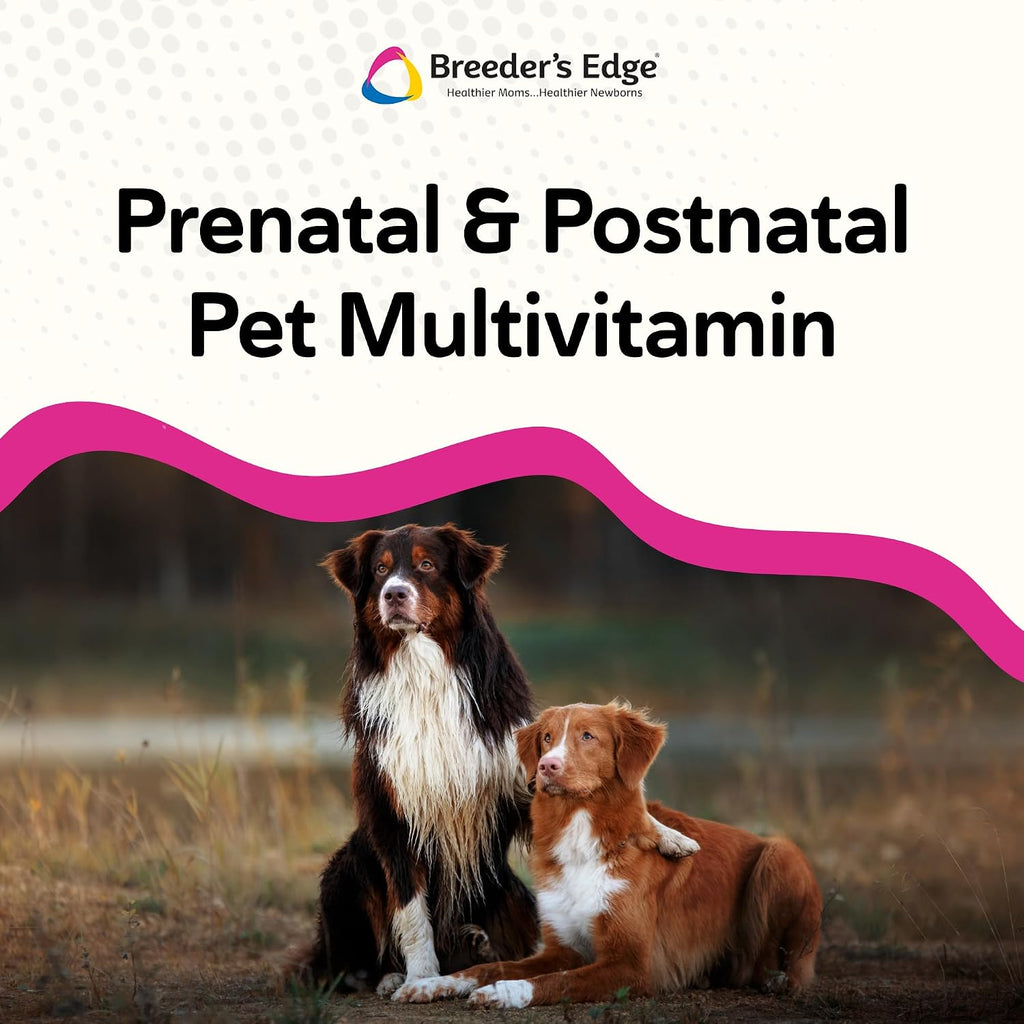 Breeder's Edge Breed to Wean, Multivitamínico Prenatal y Postnatal para Perros y Gatos, 100 Comprimidos