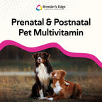 Breeder's Edge Breed to Wean, Multivitamínico Prenatal y Postnatal para Perros y Gatos, 100 Comprimidos