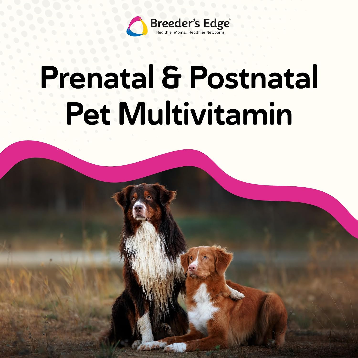 Breeder's Edge Breed to Wean, Multivitamínico Prenatal y Postnatal para Perros y Gatos, 100 Comprimidos
