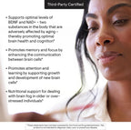 THORNE Brain Factors - Suplemento para la salud cerebral con Nicotinamida Ribósido, Extracto de Café y Betaína - Apoya el aprendizaje, la memoria y la cognición - 30 cápsulas