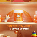 DNA PET Happy Healthy Órganos y Glándulas para Perros, Suplemento Multiorgánico de Hígado, Corazón, Riñón, Bazo, Páncreas, Médula Ósea y Timo Bovino, 85 g