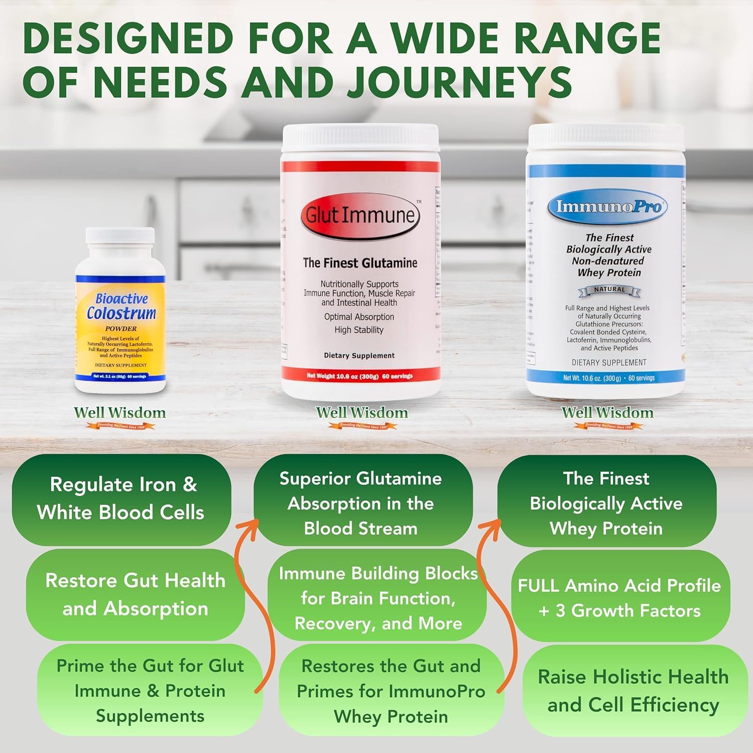 Glut Immune Polvo de Glutamina 300g - Well Wisdom