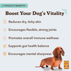 Aceite de Salmón Salvaje de Alaska para Perros y Cachorros - Suplemento de Omega 3 con EPA y DHA, Tamaño de Prueba, 8 oz