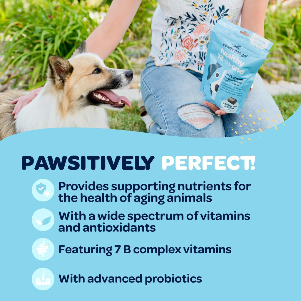 Ready Pet Go! 12-in-1 Multivitamínico Masticable para Perros con Glucosamina, Condroitina y Probióticos - 90 Masticables
