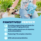 Ready Pet Go! 12-in-1 Multivitamínico Masticable para Perros con Glucosamina, Condroitina y Probióticos - 90 Masticables