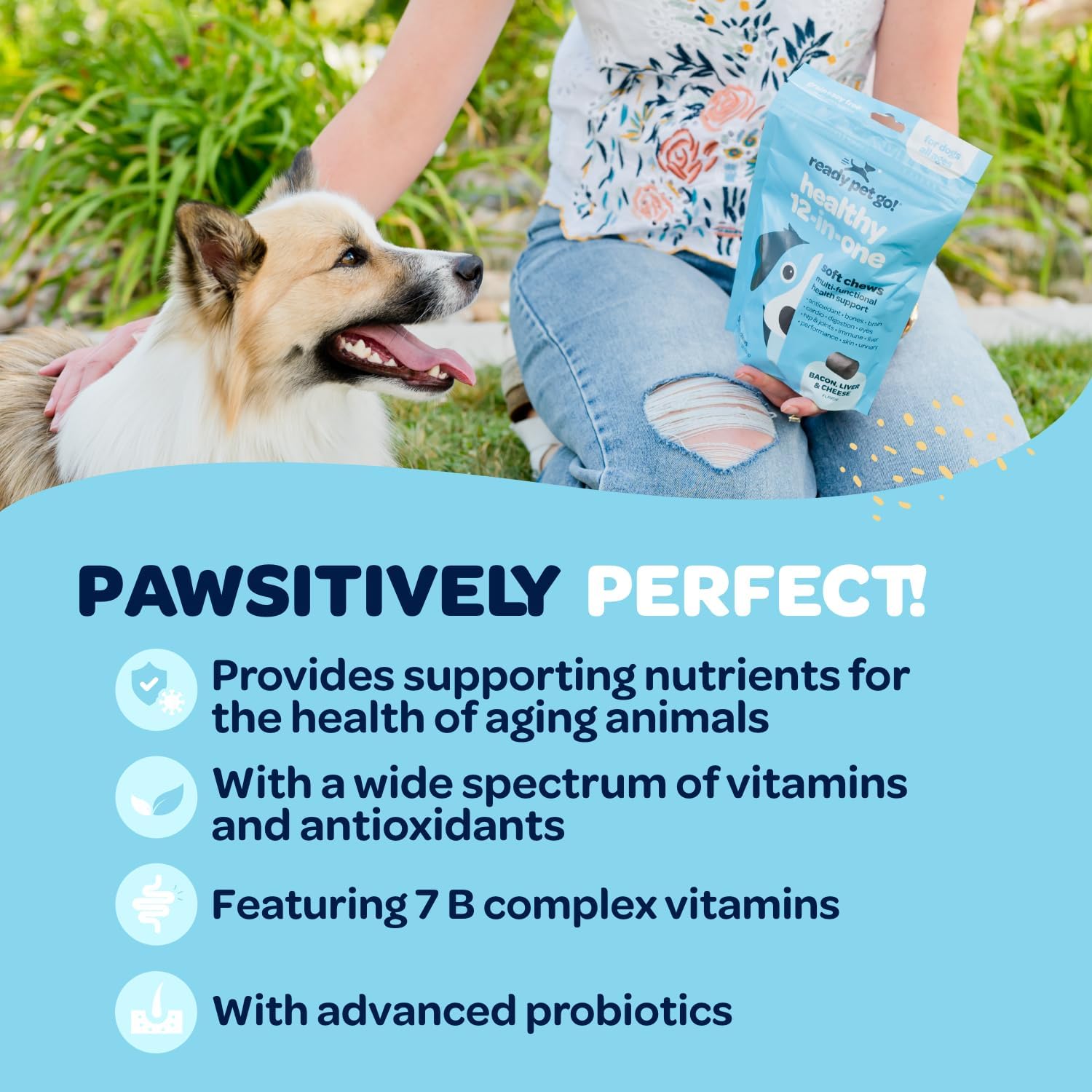 Ready Pet Go! 12-in-1 Multivitamínico Masticable para Perros con Glucosamina, Condroitina y Probióticos - 90 Masticables