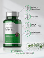 Horbäach Cápsulas de Raíz de Maca para Hombres y Mujeres | 120 Cápsulas | Extracto de Alta Potencia | Fórmula No GMO y Sin Gluten