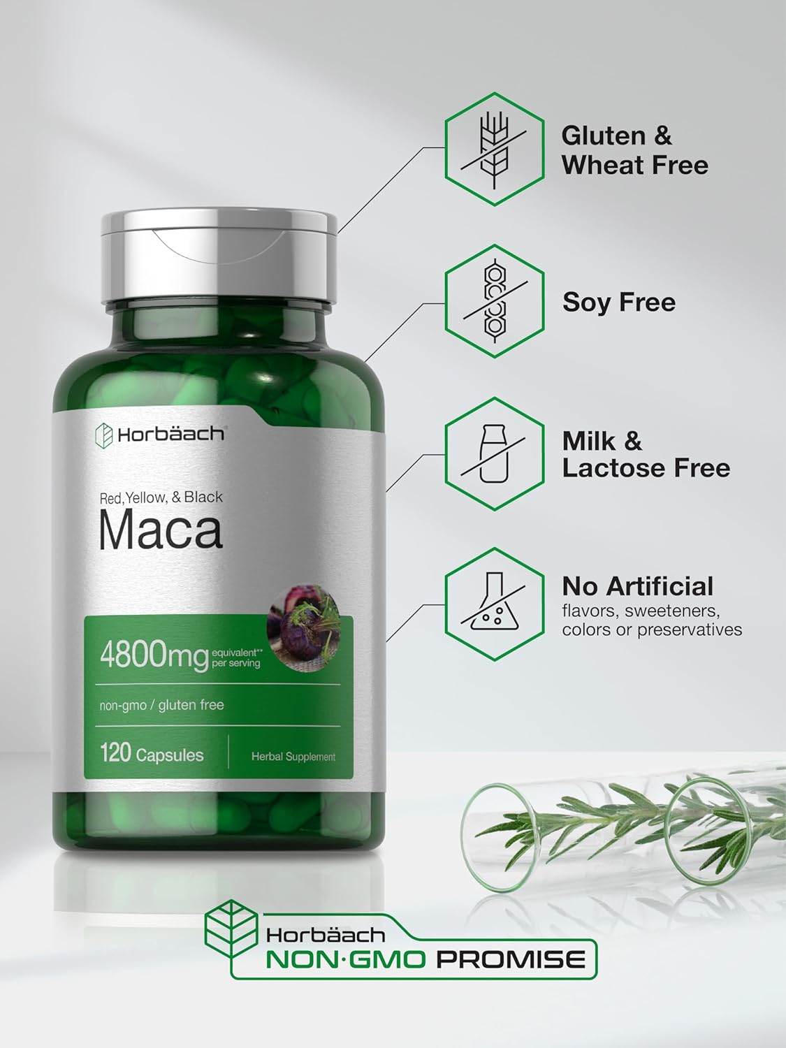 Horbäach Cápsulas de Raíz de Maca para Hombres y Mujeres | 120 Cápsulas | Extracto de Alta Potencia | Fórmula No GMO y Sin Gluten