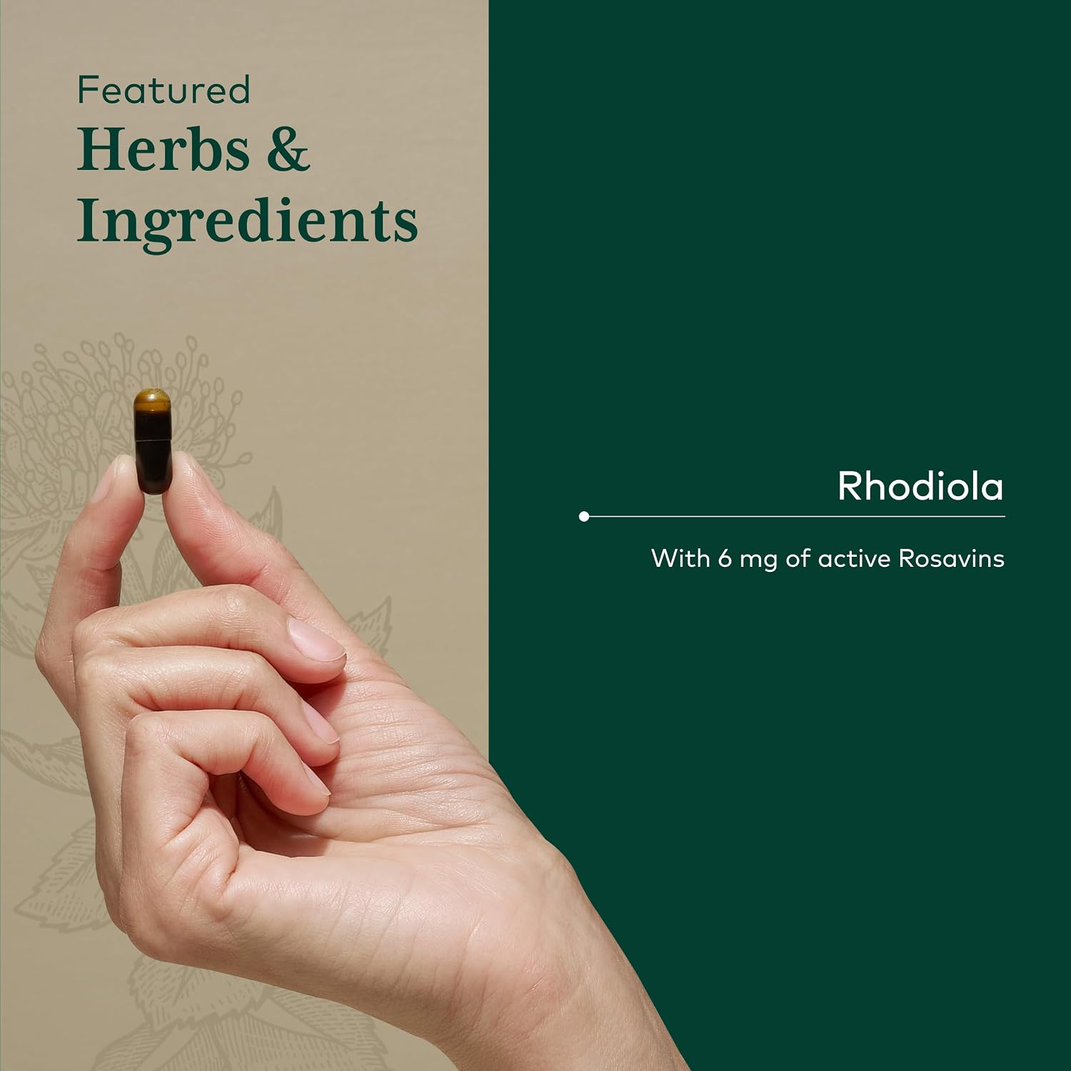 GAIA HERBS PRO Rhodiola - Complemento Adaptógeno con Extracto de Raíz de Rhodiola - 60 Cápsulas (30 Dosis)