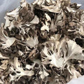 Maitake Mushroom Huishuhua (500g)