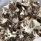 Maitake Mushroom Huishuhua (500g)