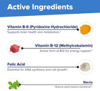 Superior Source No Shot Vitamina B12 Metilcobalamina 1000 mcg, B6 y Ácido Fólico 800 mcg - 60 Comprimidos Sublinguales
