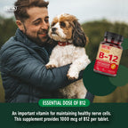 Deva Vitamina B12 Vegana de Disolución Rápida - 1000 mcg Metilcobalamina con Ácido Fólico y B6 - Sabor Limón - 90 Comprimidos