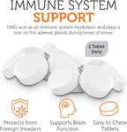 Zahler DMG 500 mg - Suplemento de dimetilglicina para resistencia y apoyo inmunológico - 90 comprimidos kosher