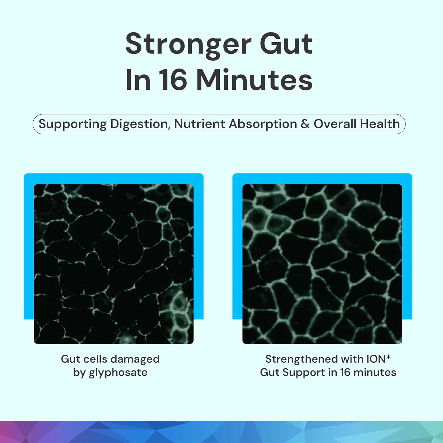 ION* Intelligence of Nature Gut Support - Suplemento Líquido para la Salud Digestiva e Intestinal con Extracto Húmico - 946 ml (32 fl oz)