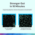 ION* Intelligence of Nature Gut Support - Suplemento Líquido para la Salud Intestinal y Digestiva, 473 ml