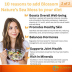 10-en-1 Irish Sea Moss Complejo Multivitamínico 3000mg con Ashwagandha y Cúrcuma - Cápsulas Veganas