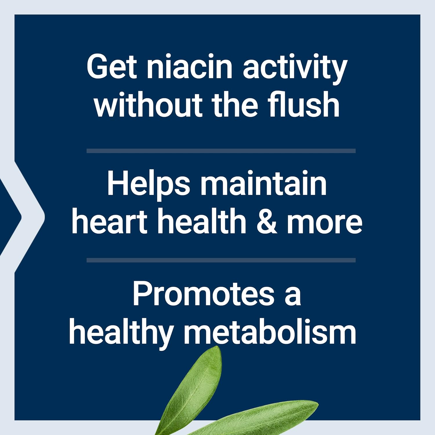 Life Extension No Flush Niacin - Vitamina B3 sin Rubor, 100 Cápsulas