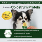 Doctor By Colostrum Protein para Perros y Cachorros – Suplemento de Proteína para Ganancia de Peso y Sistema Inmunitario – 30 Tubos