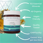 Manafest Sea Moss Gel - Gel de Musgo Marino Orgánico con Saúco, Bardana y Fucus - 454g