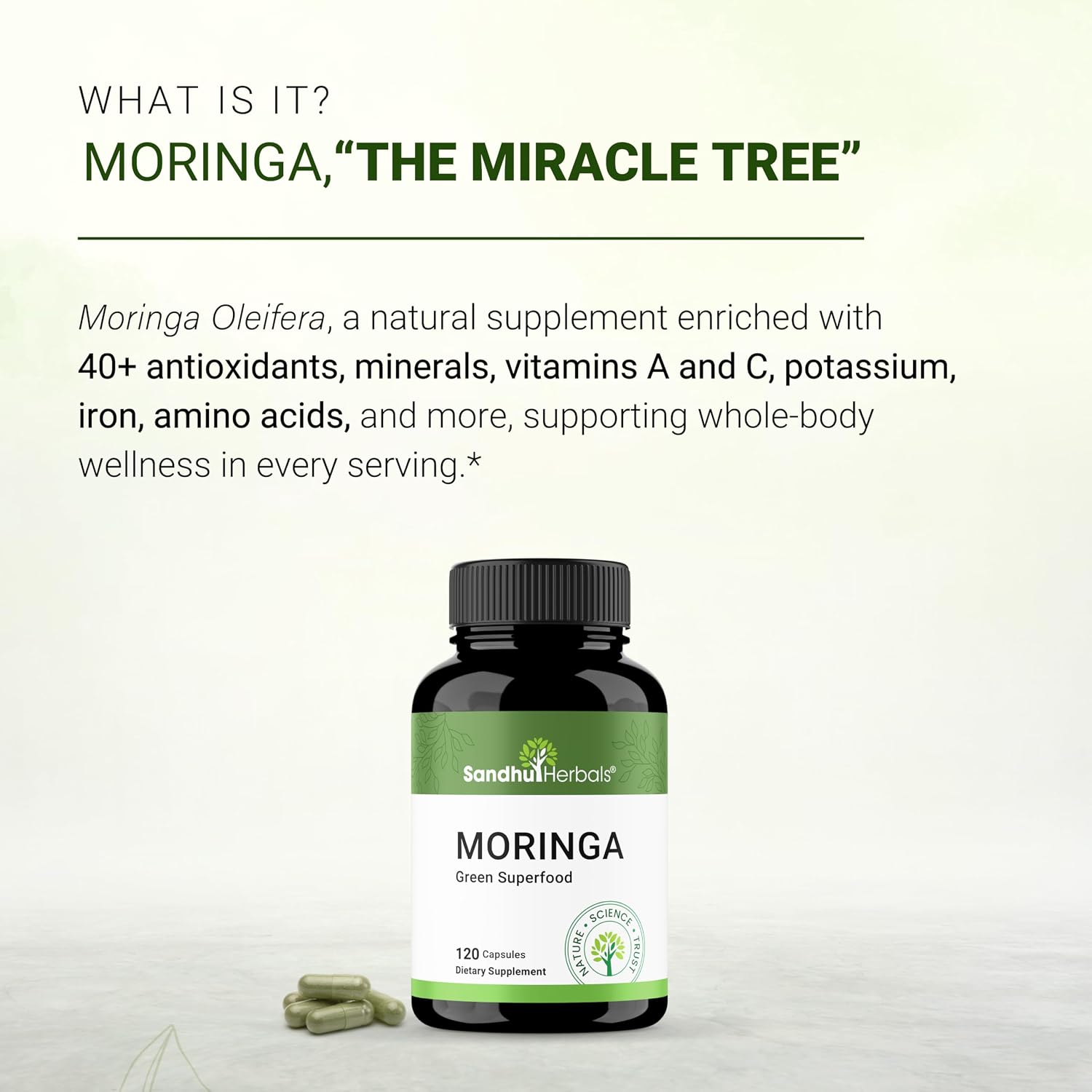 Pure Moringa Capsules – Cápsulas de Moringa Oleifera (120 uds, 900 mg)