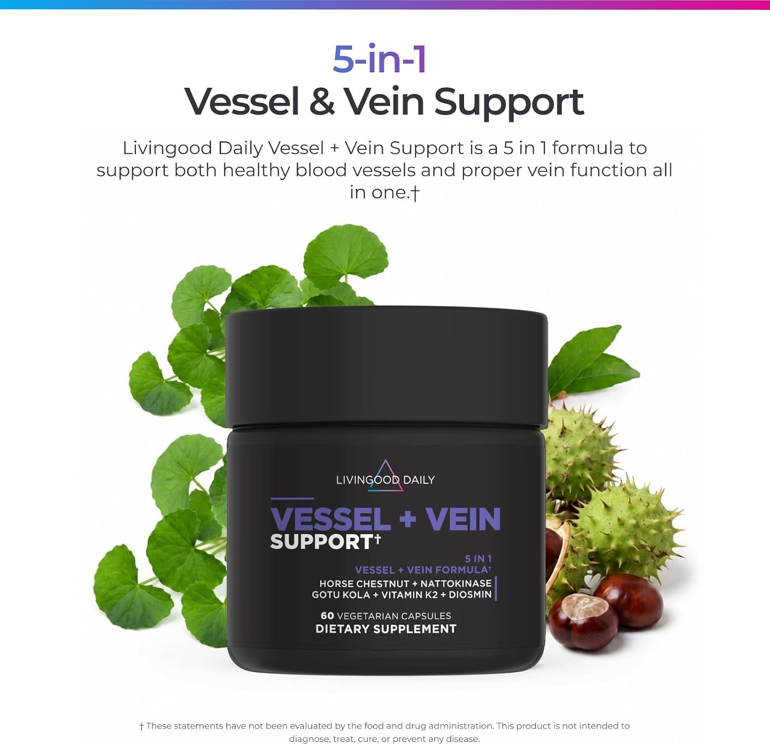 Livingood Daily Vessel & Vein Support - Suplemento para la Circulación y Salud Venosa, 60 Cápsulas