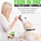 IE 4 in 1 Multivitamínicos para Perros | Apoyo Articular, Salud Inmunológica, Piel y Corazón | 90 Masticables Suaves