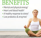 Garden of Life Complejo B - 60 Cápsulas Veganas, Alta Potencia para Energía y Metabolismo