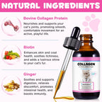 Colágeno para Gatos con MSM y Jengibre - Suplemento Líquido para Piel, Pelaje y Articulaciones (59 ml)