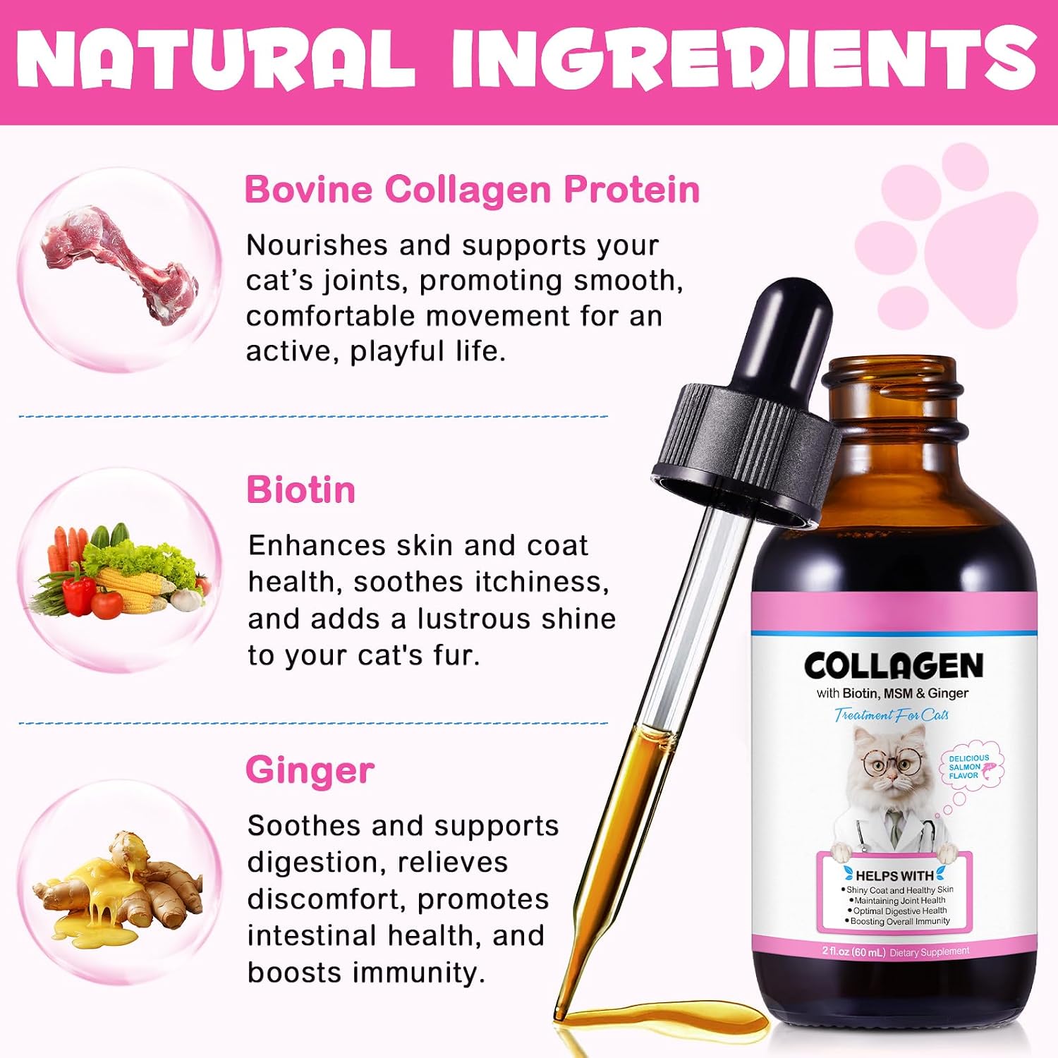 Colágeno para Gatos con MSM y Jengibre - Suplemento Líquido para Piel, Pelaje y Articulaciones (59 ml)