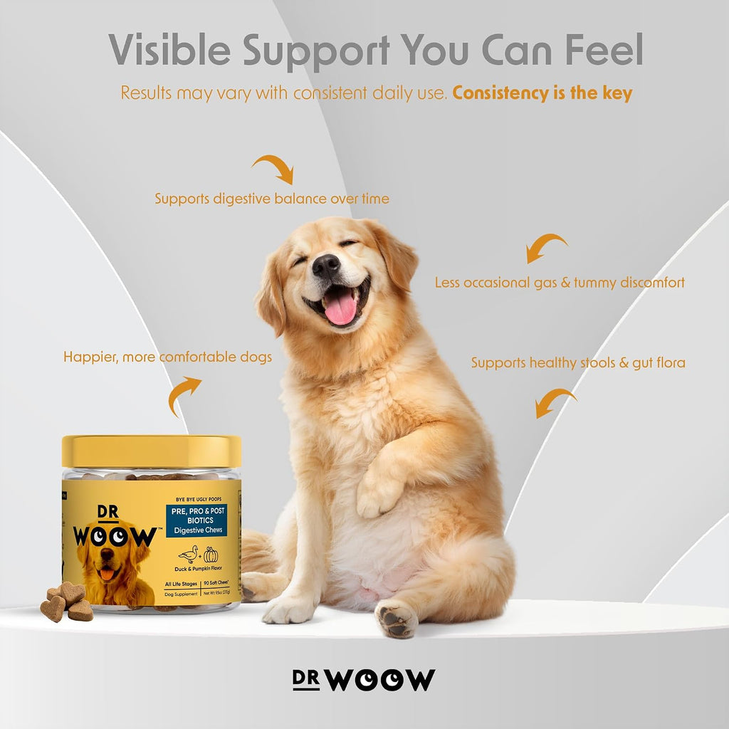 DR WOOW Probióticos para Perros – Masticables Suaves con Enzimas Digestivas – Sabor Pato y Calabaza – 90 Unidades
