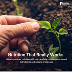Premier Research Labs Premier HCL - Betaina HCL, 90 Cápsulas Vegetales