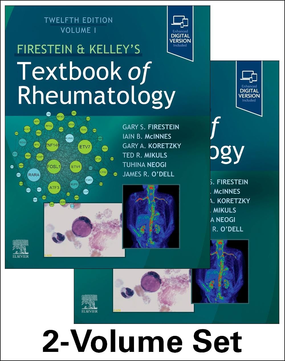 Firestein & Kelley's Textbook of – Formato: Tapa dura en dos volúmenes – Image 1