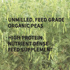 New Country Organics | Guisantes Orgánicos Sin Moler | Certificado Orgánico y No GMO | Grado Alimenticio | 40 lbs