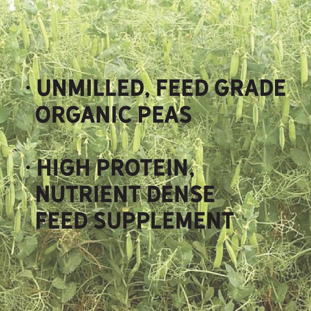 New Country Organics | Guisantes Orgánicos Sin Moler | Certificado Orgánico y No GMO | Grado Alimenticio | 40 lbs