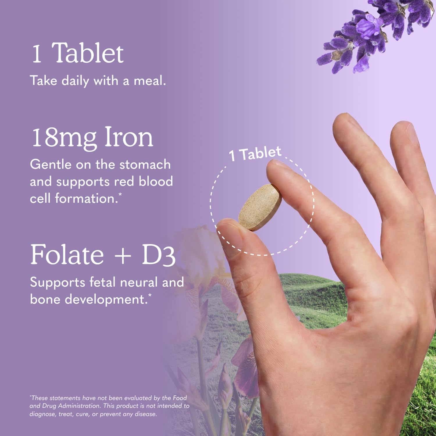Garden of Life Organics Multivitamínico Prenatal con Folato, B6, B12, D3 y Hierro, 30 Comprimidos